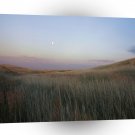 Nature Dusk Moonlit Grasses A1 XLarge Canvas