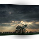 Nature Dusk Ray Of A1 XLarge Canvas