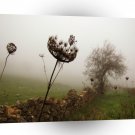 Nature Field Head In The Clouds A1 XLarge Canvas