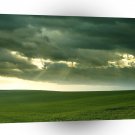Nature Field Of Grass Sunbeam A1 XLarge Canvas