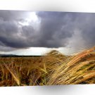 Nature Field Stormy Outlook A1 XLarge Canvas