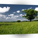 Nature Field Summer Countryside A1 XLarge Canvas