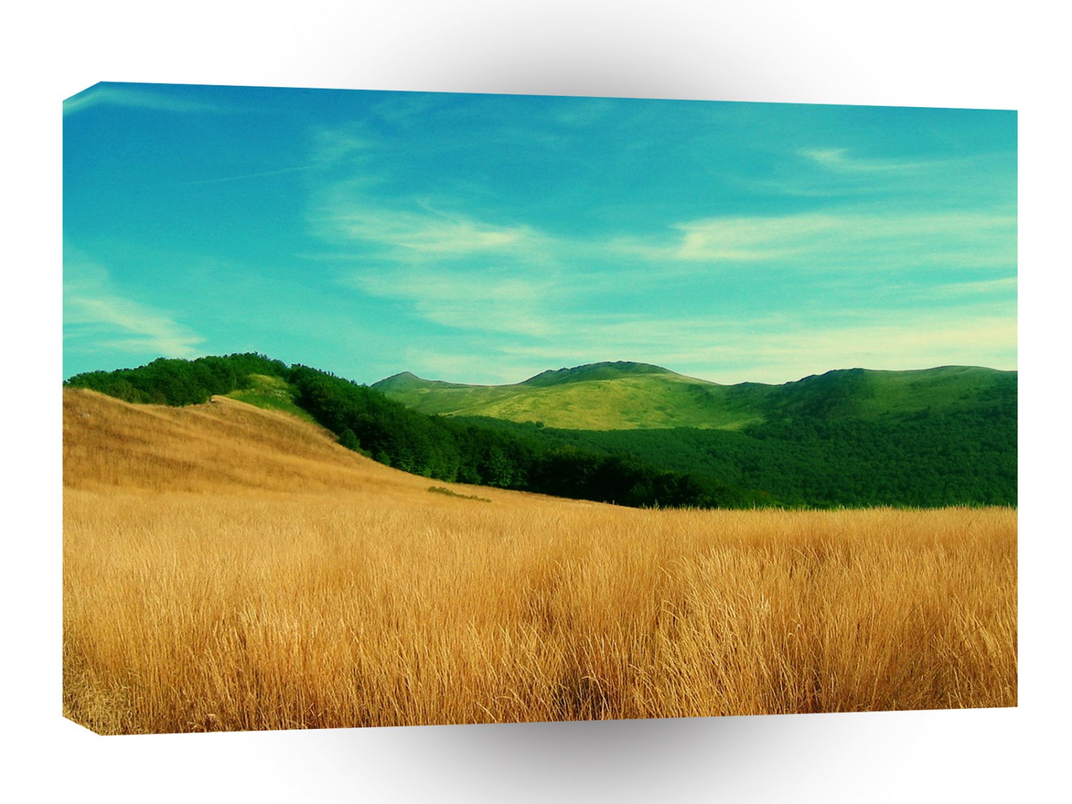 Nature Field Summer Grass A1 XLarge Canvas
