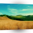 Nature Field Summer Grass A1 XLarge Canvas