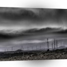 Nature Field Supplies A1 XLarge Canvas