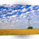 Nature Field Two Makes One A1 XLarge Canvas