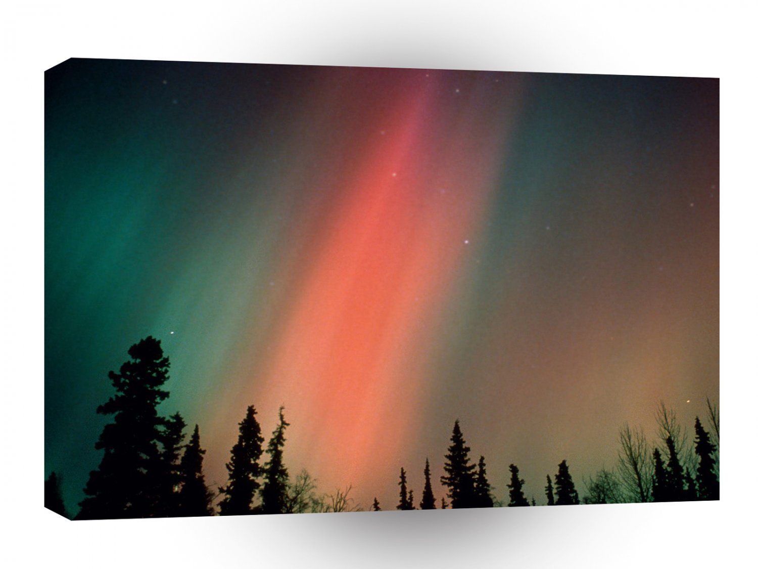 Nature Forces Aurora Borealis Northern Lights Alaska A1 XLarge Canvas