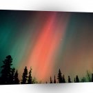 Nature Forces Aurora Borealis Northern Lights Alaska A1 XLarge Canvas