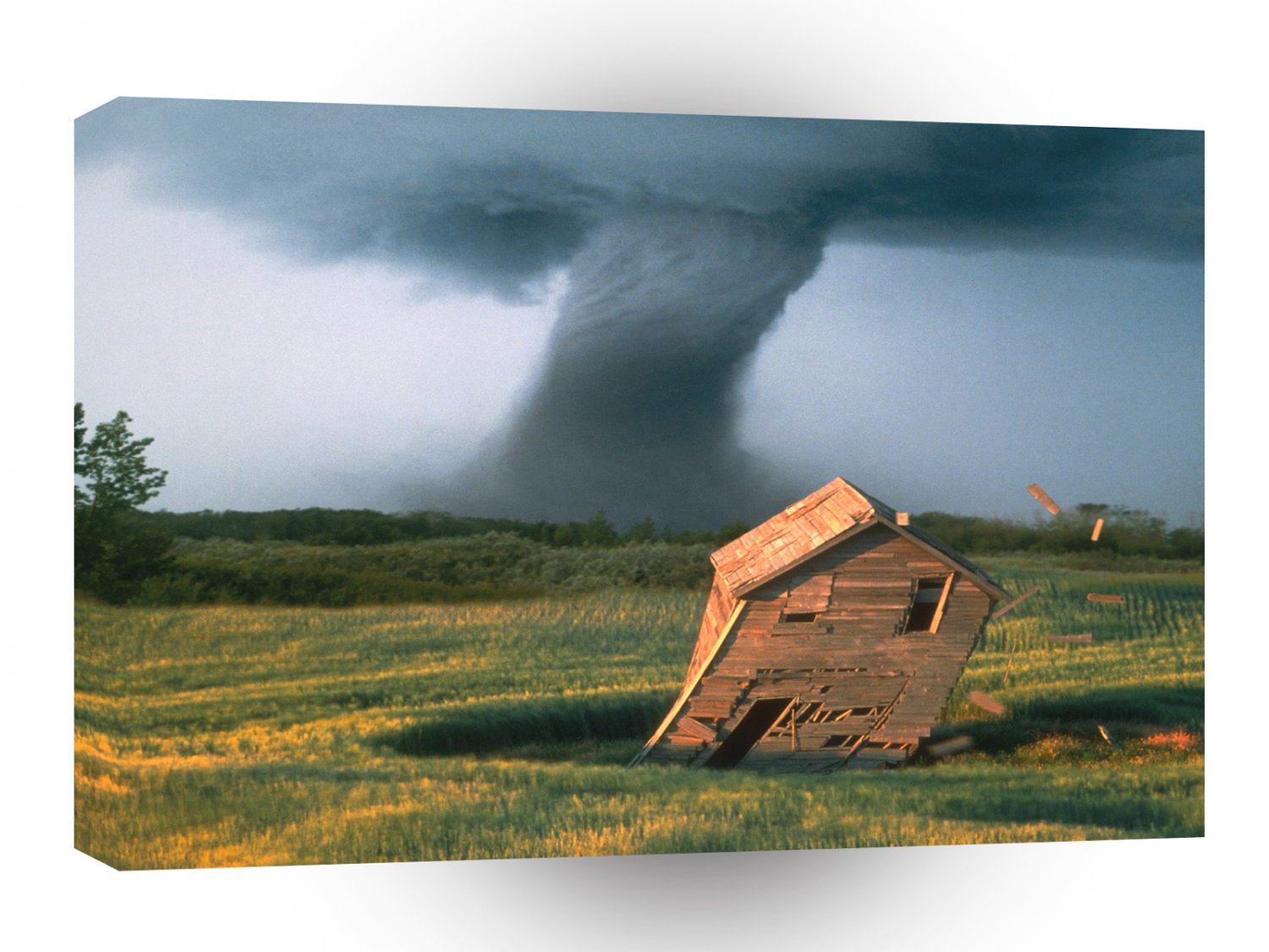 Nature Forces Awesome Spectacle A1 XLarge Canvas