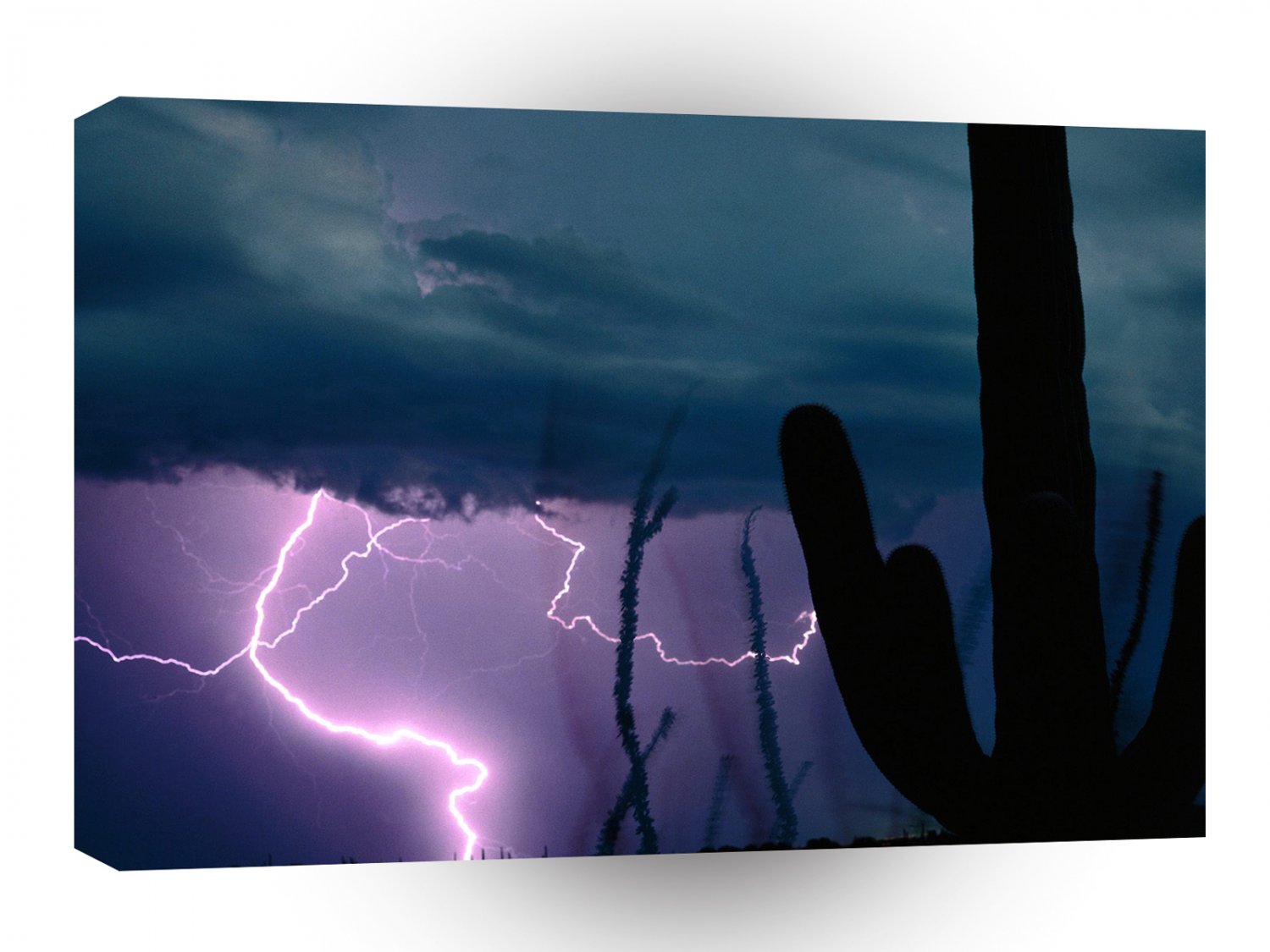 Nature Forces Desert Storm A1 XLarge Canvas