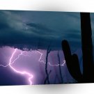 Nature Forces Desert Storm A1 XLarge Canvas