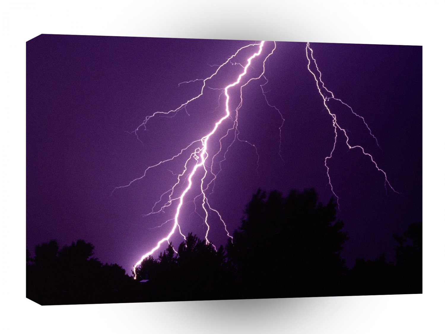 Nature Forces First Strike A1 XLarge Canvas