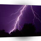 Nature Forces First Strike A1 XLarge Canvas