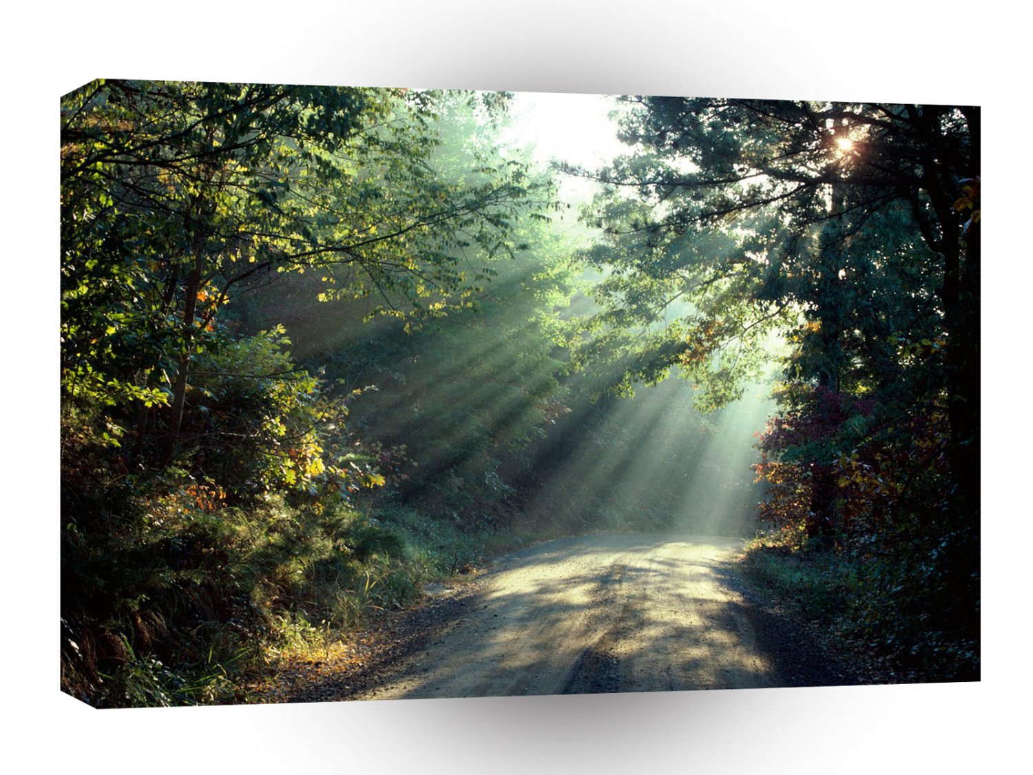 Nature Forces Light The End Of The Road A1 XLarge Canvas