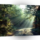 Nature Forces Light The End Of The Road A1 XLarge Canvas
