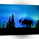 Nature Forces Night Phenomenon A1 XLarge Canvas