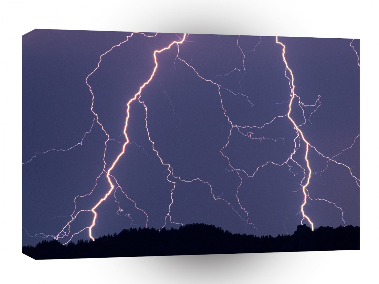 Nature Forces Night Striker A1 XLarge Canvas