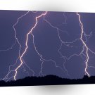 Nature Forces Night Striker A1 XLarge Canvas