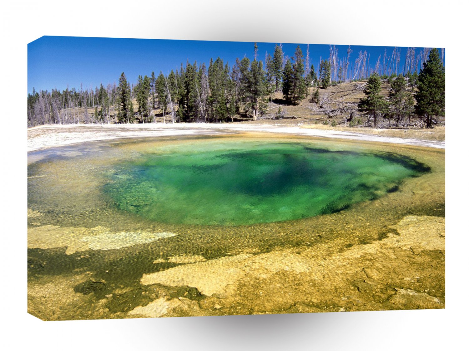Nature Forces Upper Geyser Basin Yellowstone Wyoming A1 XLarge Canvas