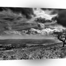 Nature Grayscale Country Glory A1 XLarge Canvas