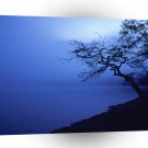Nature Lakeside Dark Blue Mist A1 XLarge Canvas