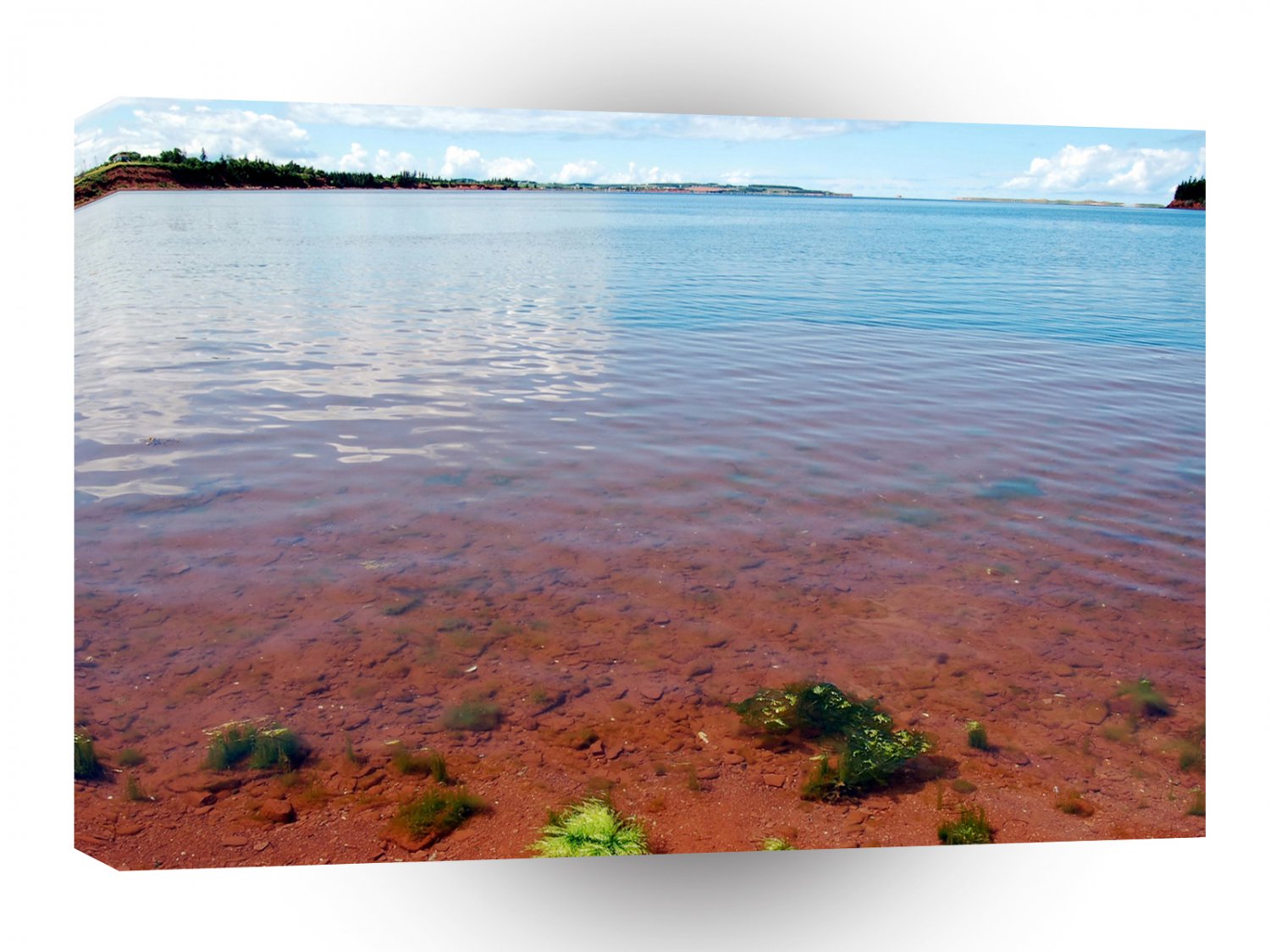 Nature Lakeside Summertime Shore A1 XLarge Canvas