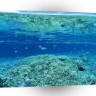 Nature Ocean Sea Sandwich A1 XLarge Canvas