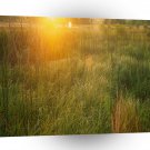 Nature Reserve Sunshine A1 XLarge Canvas