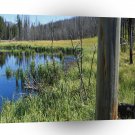 Nature Reserve Wilderness Water Hole A1 XLarge Canvas