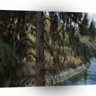 Nature River Pines Valley A1 XLarge Canvas