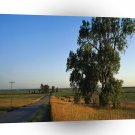 Nature Road Farmers County A1 XLarge Canvas