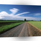 Nature Road Farmlands A1 XLarge Canvas