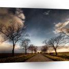 Nature Road Manor Way A1 XLarge Canvas
