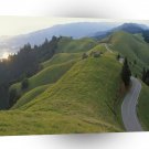 Nature Road Meadow Hills A1 XLarge Canvas