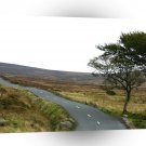 Nature Road Mooreland Way A1 XLarge Canvas