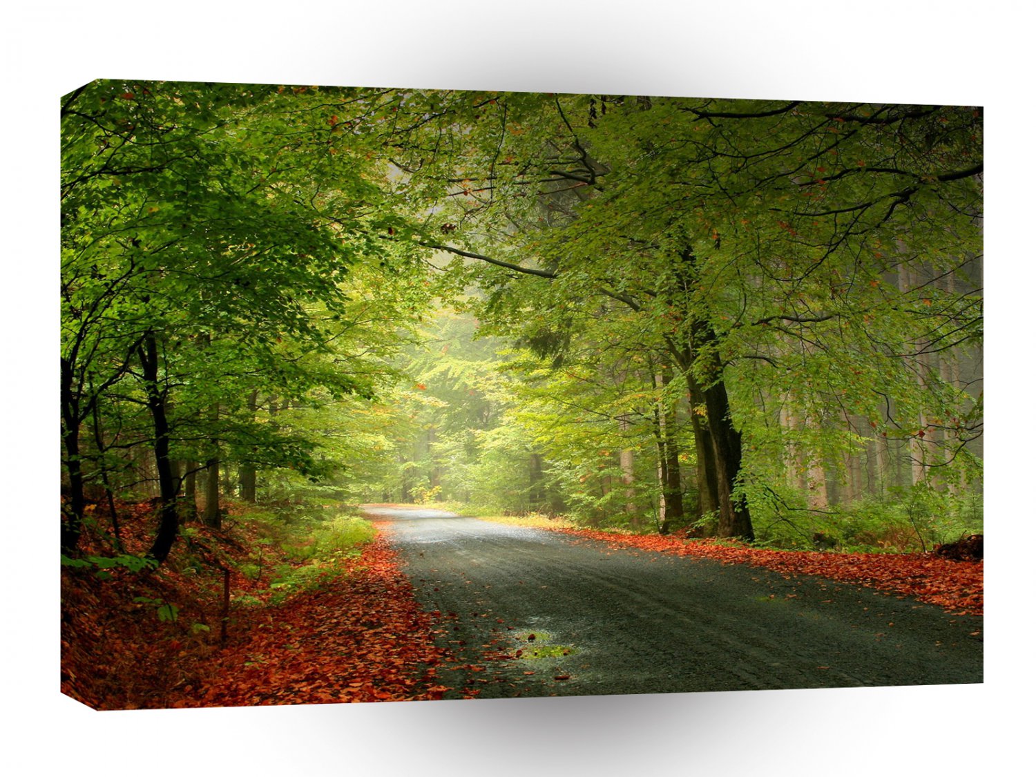 Nature Road Springtime Woods A1 XLarge Canvas