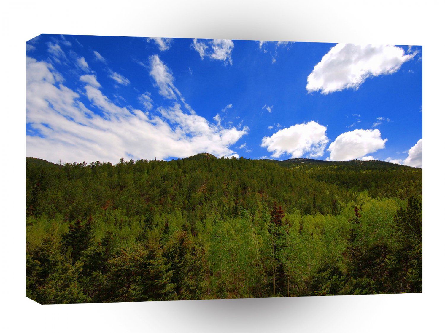 Nature Sky Blue Tree Hills A1 XLarge Canvas