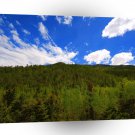 Nature Sky Blue Tree Hills A1 XLarge Canvas