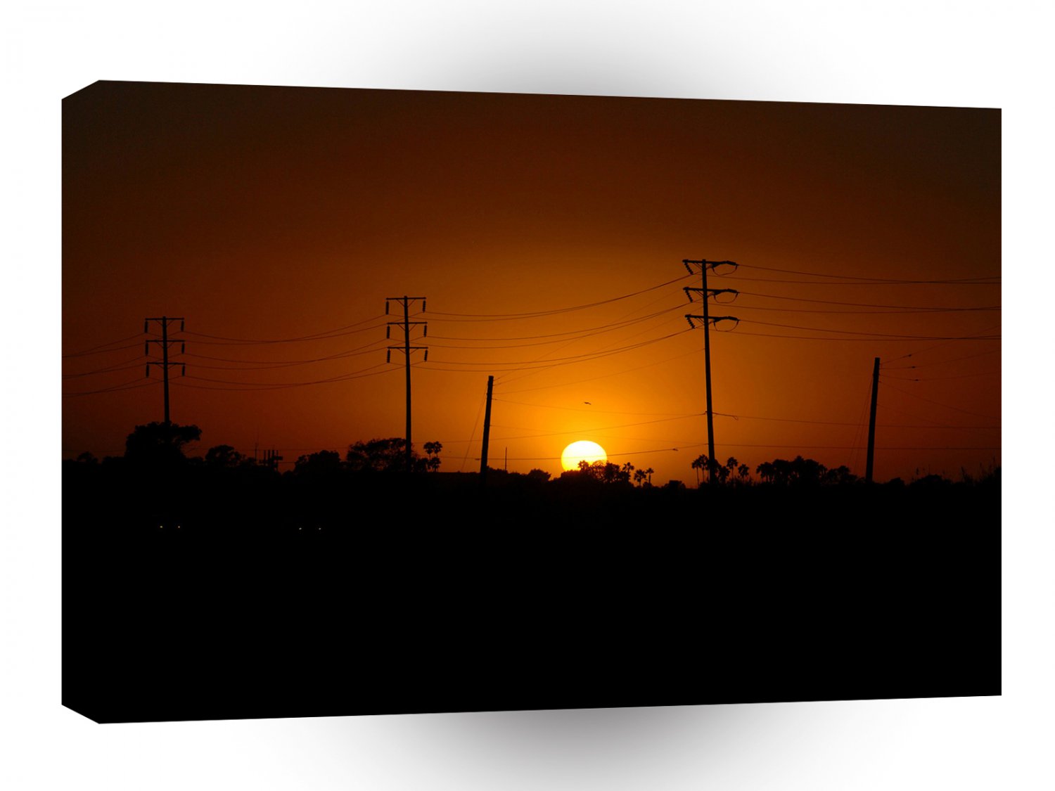 Nature Sunset Electric Field A1 XLarge Canvas