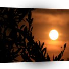 Nature Sunset Leaves A1 XLarge Canvas