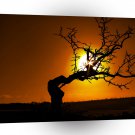 Nature Sunset Tree Piercing Light A1 XLarge Canvas