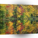 Nature Trees Autumn Colorful Lake Reflection A1 XLarge Canvas