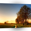 Nature Trees Farmland Night Light A1 XLarge Canvas