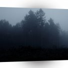 Nature Trees Fog Woods A1 XLarge Canvas