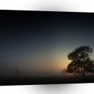 Nature Trees Into The Night A1 XLarge Canvas
