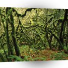 Nature Trees Mossy Times A1 XLarge Canvas