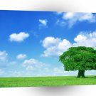 Nature Trees Perfectness A1 XLarge Canvas