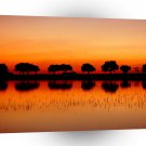 Nature Trees Red Row Reflected A1 XLarge Canvas