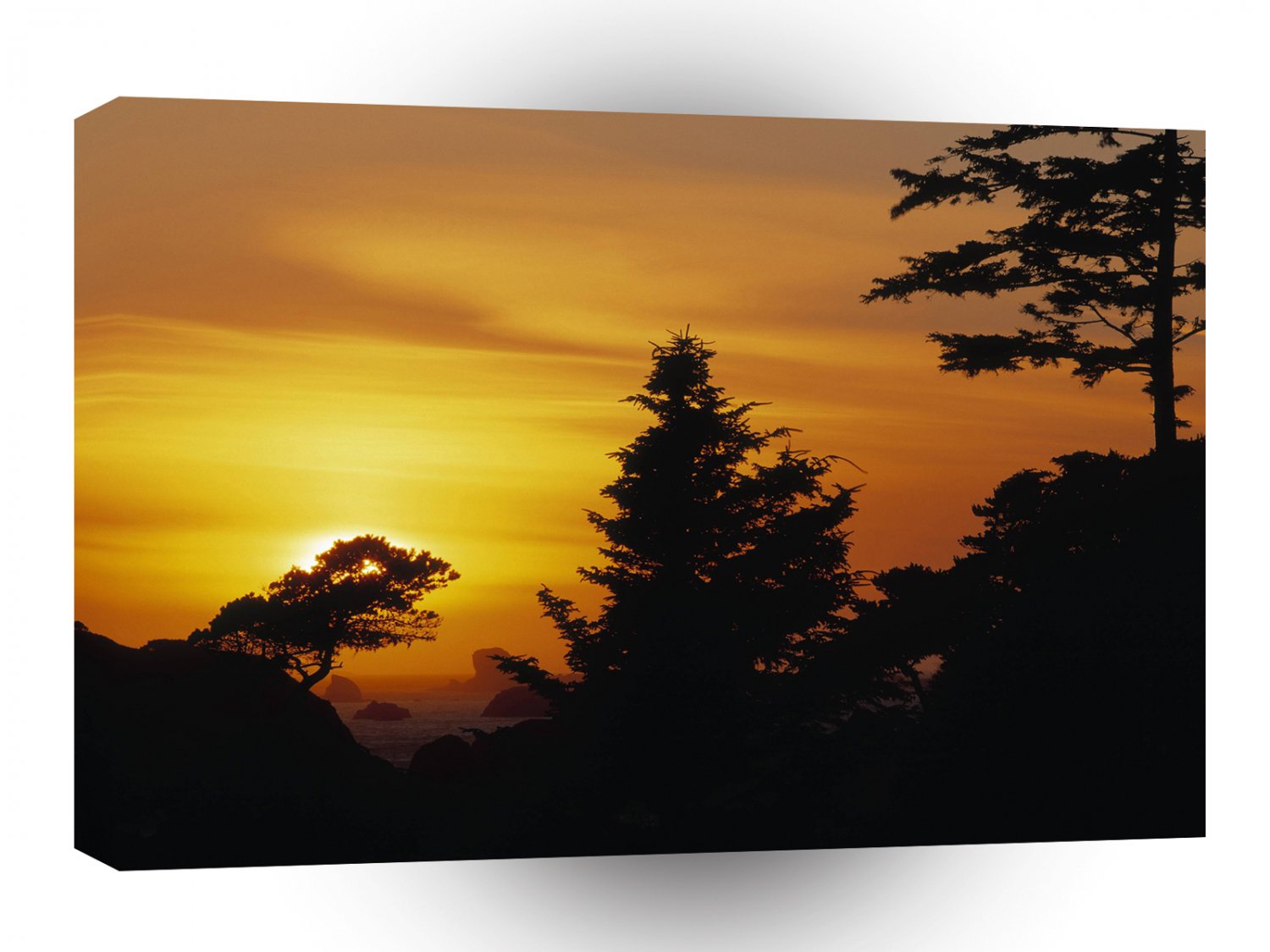 Nature Trees Sunset Bedtime A1 XLarge Canvas