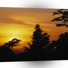 Nature Trees Sunset Bedtime A1 XLarge Canvas